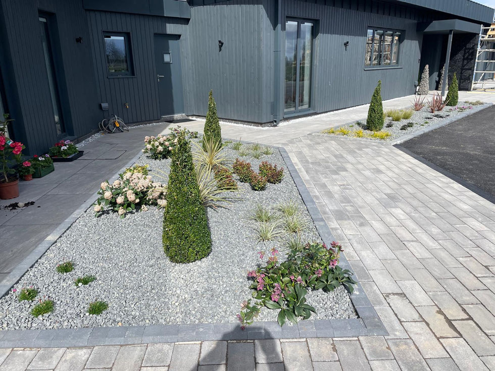 Gravel planted border