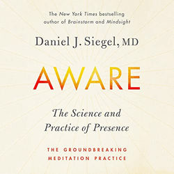 Aware: The Science and Practice of Presence