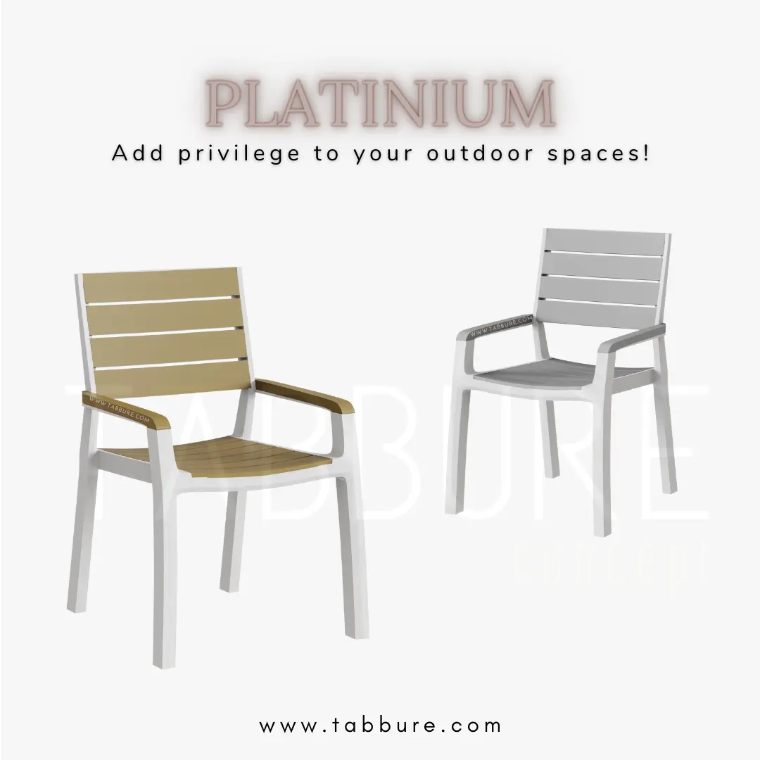 Platinum Plastic Chair