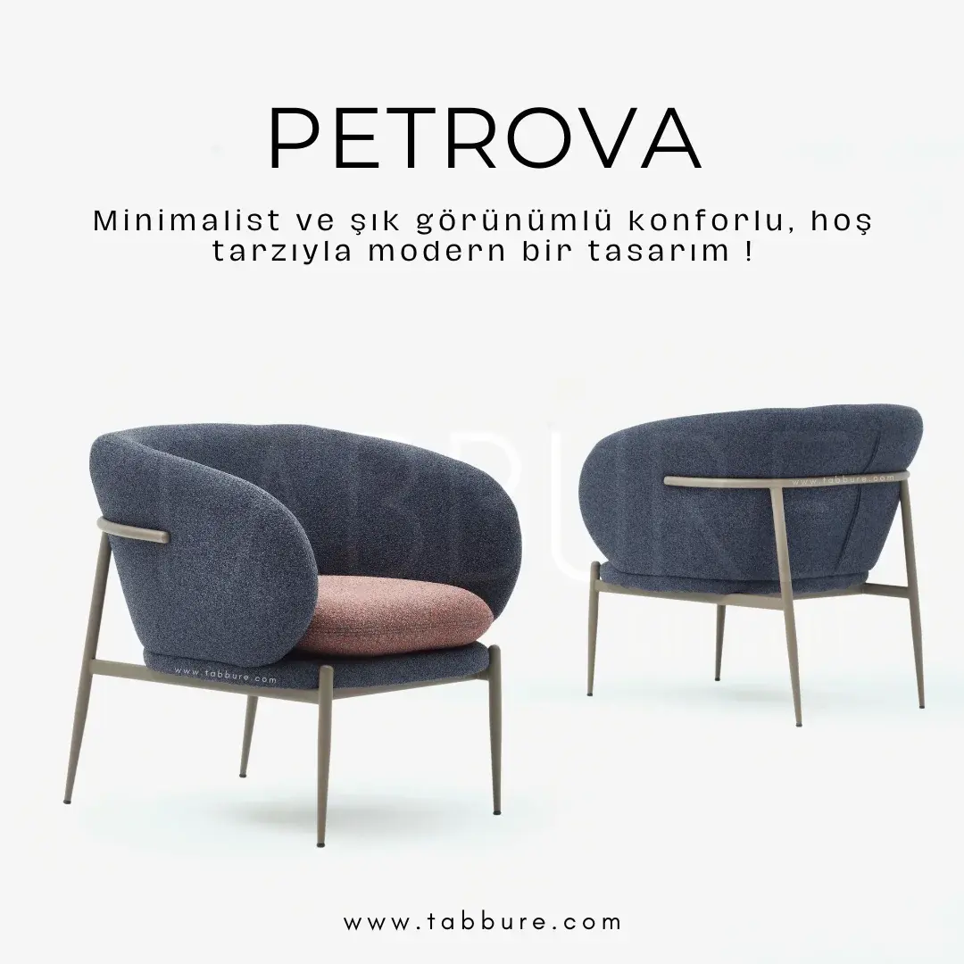 Şık tekli otel cafe restorant koltuk modelleri