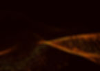 shutterstock_631636766_edited_edited.jpg