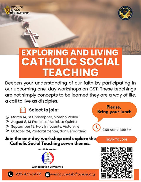 Revised Catholic Social Teaching workshop .jpg