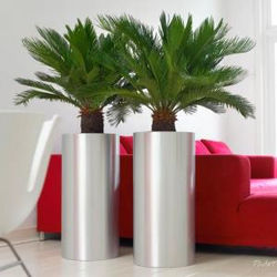 Cylindrical metal office plant pot