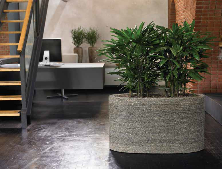 Planted trough in office