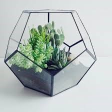 Office Terrarium rental service