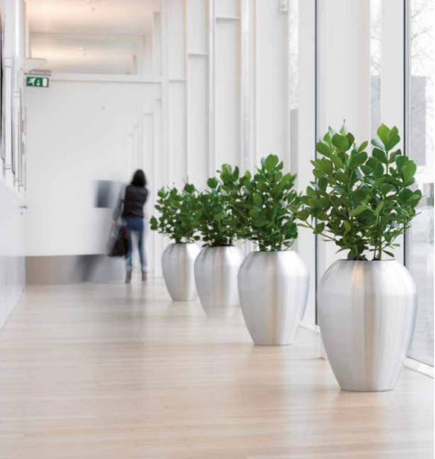 Stylish metal office plant display