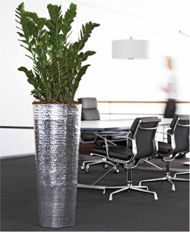 Dented Aluminium office plant container