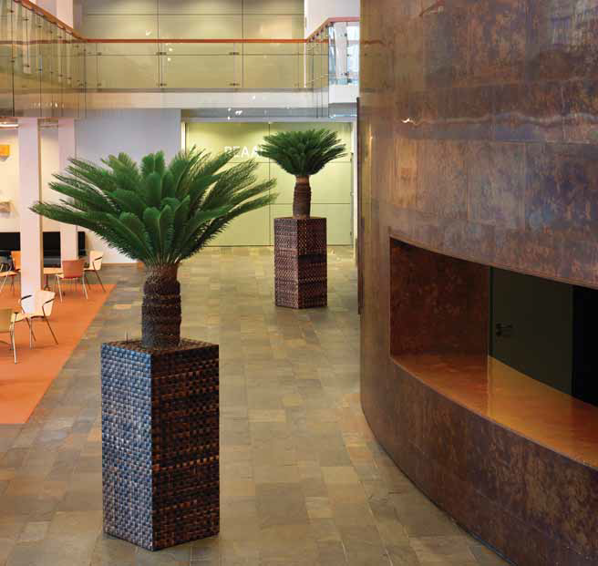 Luxury wooded plant pot in office