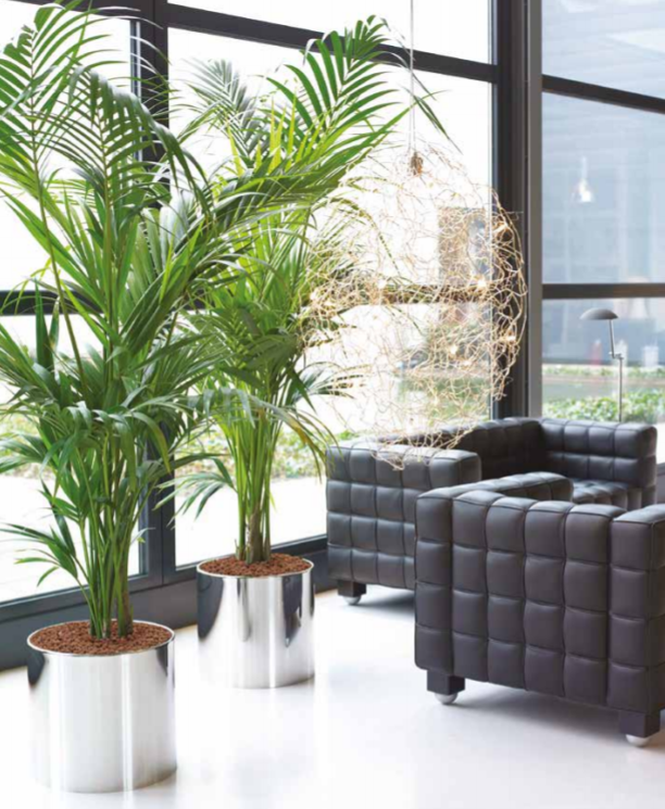 Low polished metal plant pot