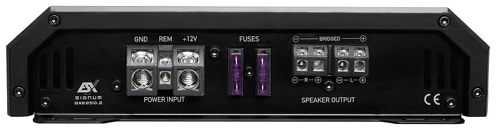 Miniaturbild: ESX Signum SXE250.2