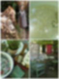 Collage_20240710_074035.jpg