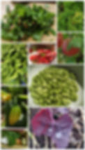 Collage_20250218_080156.jpg