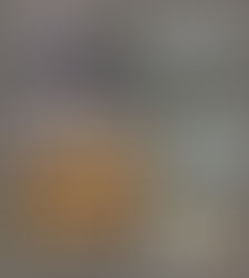 衛武營的鳥兒。信報。徐詠璇