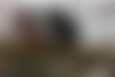 宏福 情。信報。徐詠璇