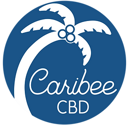 Video_Logo Dark Blue (1).png