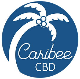 Video_Logo Dark Blue (1).png