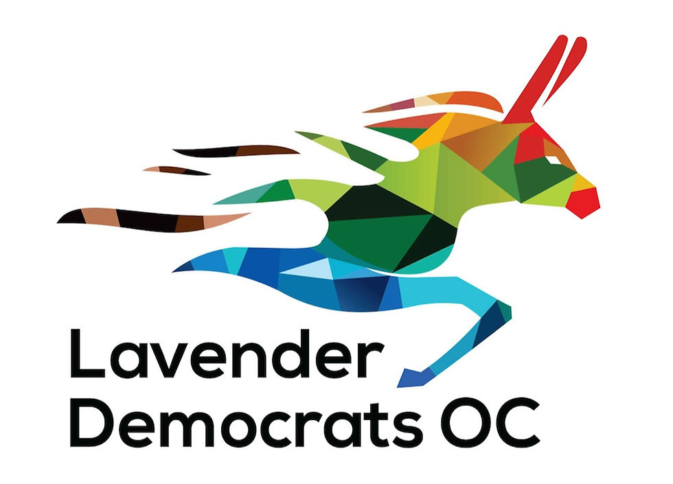 Special Guest Billie as representative for the Lavender Democrats OC