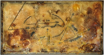 Waggle Dance #1 (1).jpeg