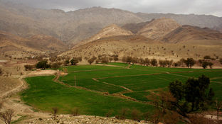 Three People, Including a Girl, Killed in Paktika and Nangarhar