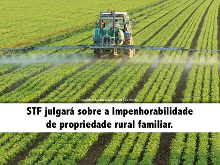 STF julgará sobre a Impenhorabilidade de propriedade rural familiar.