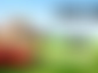 Como o STJ está decidindo em relação a compra e venda de ASCENDENTES para DESCENDENTE