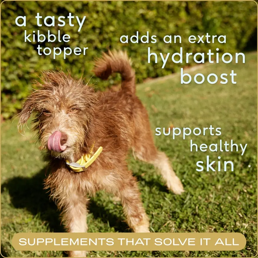 Thumbnail: Beef Bone Broth