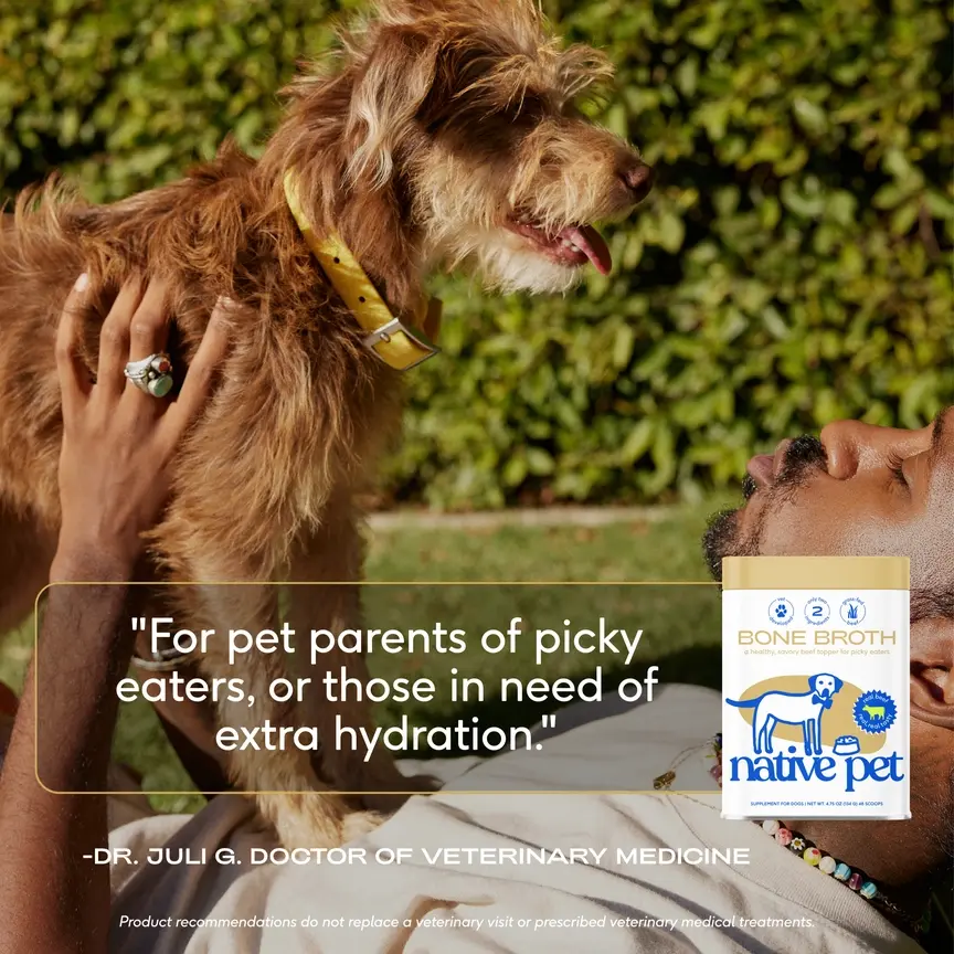 Thumbnail: Beef Bone Broth