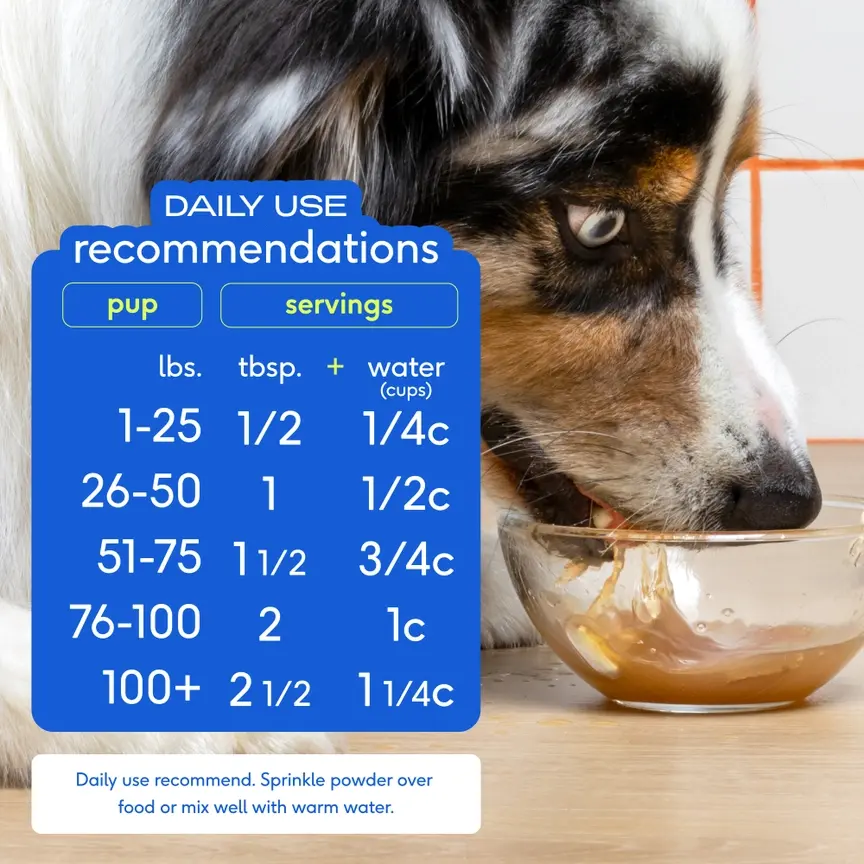 Thumbnail: Beef Bone Broth