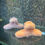 Thumbnail: Fur claws
