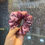 Thumbnail: Satin net stone scrunchies 