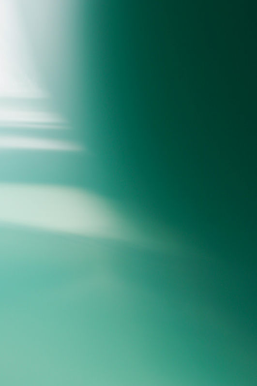 pexels-babybluecat-6843588.jpg