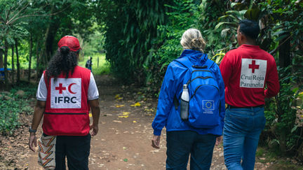 Reflexiones y aprendizajes de la Alianza Programática entre IFRC y la Unión Europea en las Américas