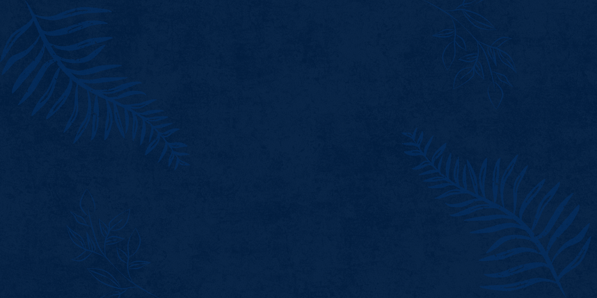 Diseño sin título.png