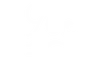 asset8_cancun.webp