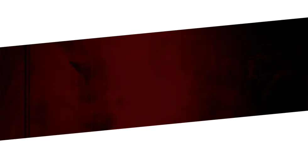 fondo para platillos