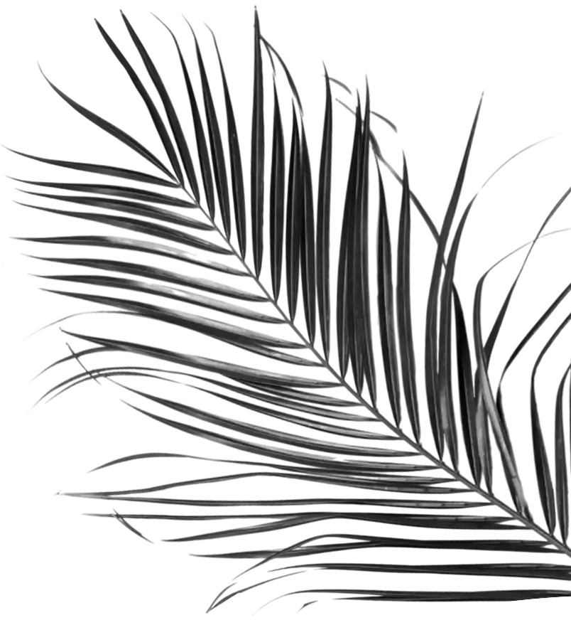 asset9_mamazzita_menu_cabos_desayuno.webp
