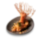 asset6_tora.webp
