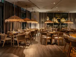 Ambiente de Rosa Negra Miami