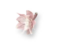 Decorative element for weddings in Los Cabos