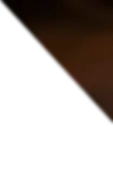background RosaNegra