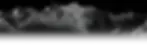 asset16_rosamiami_reservas_optimizado.webp