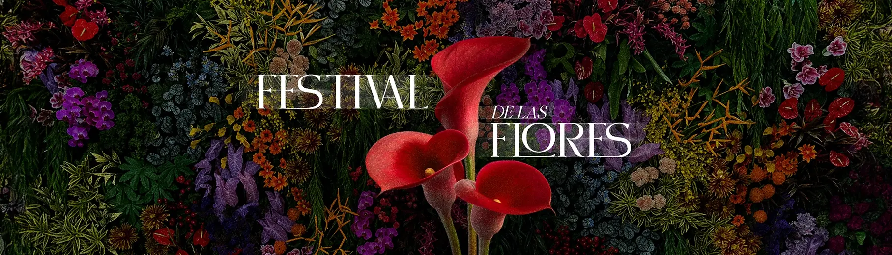 banner8_festival_desktop_es.webp