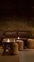 speakeasy Aluna en Rosa Negra Los Cabos