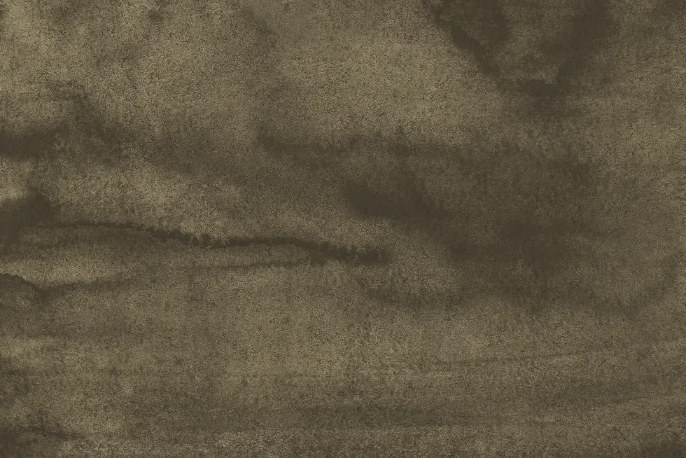 fondo