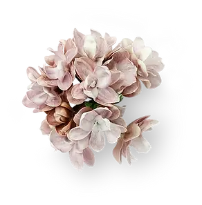 Natural flower bouquet for a wedding