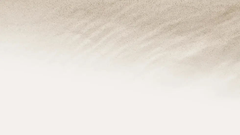 RosaNegra Beach background
