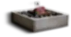 asset10_tora.webp