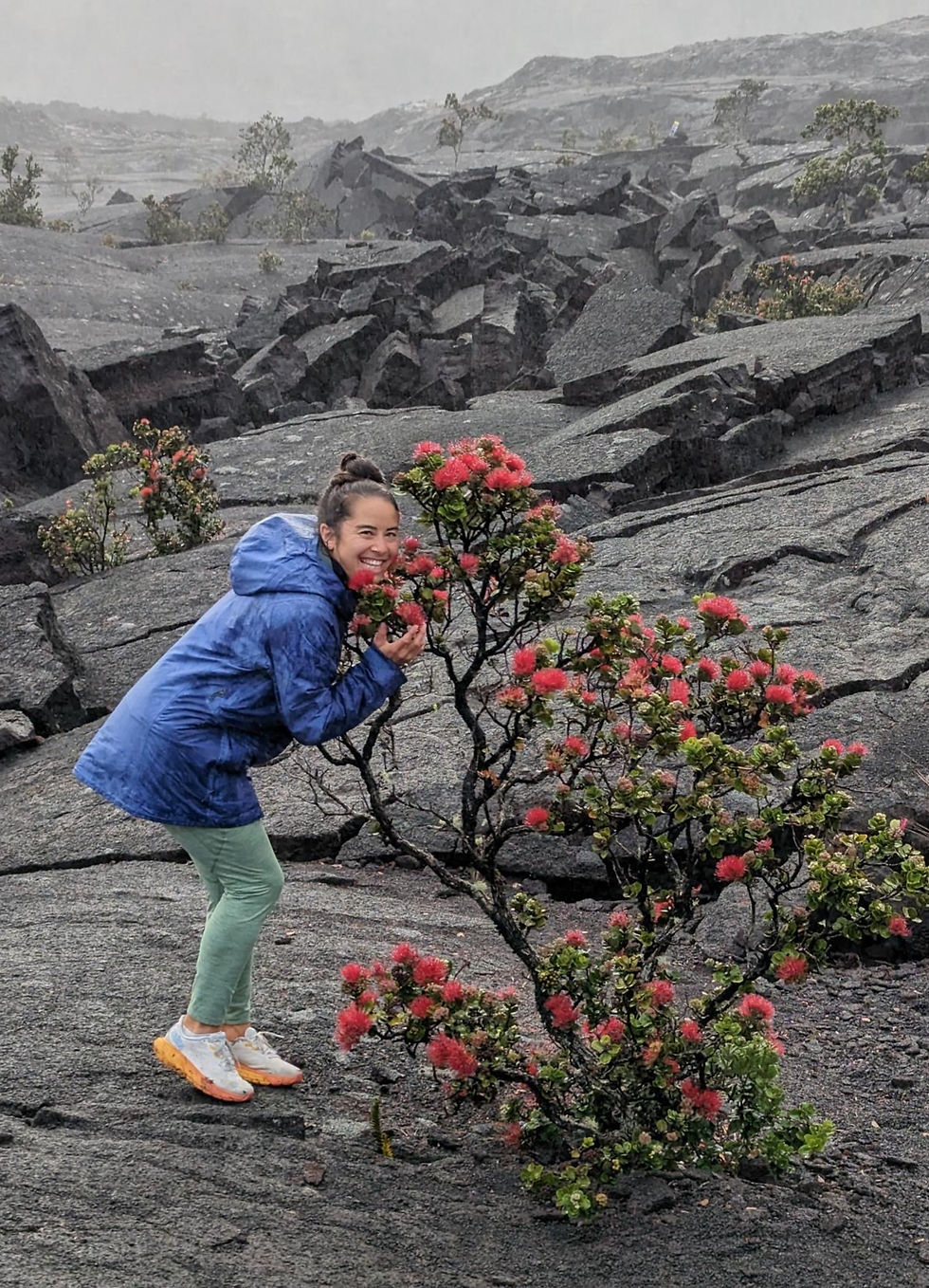 Kimiko hugging her favorite tree—the endemic to Hawaiʻi ʻŌhiʻa lehua (Metrosideros polymorpha)—in Kīlauea Iki crater on the Big Island of Hawaiʻi.