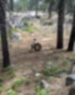Liam rolling a Sisyphus log truck wheel up a mountain.
