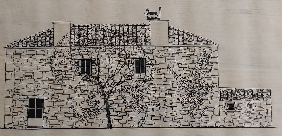 ARRIERE CROQUIS.jpg